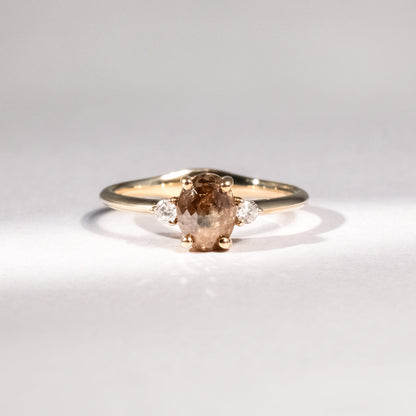 Diamantring aus 18 Karat Gelbgold mit braunem Diamant, Brillanten